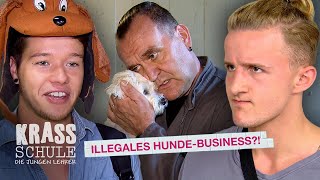 Illegales Hunde-Business?! 😱🐶 #134 I Krass Schule