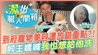 【潔出職人開箱】型男爸爸到府寵物美容遭放錯重點?! 飼主嬌喊"我也想給他洗" @來去CHECKIN @中天電視CtiTv