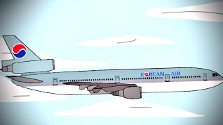 Korean air 6316 crash animation. (Read description for more info).