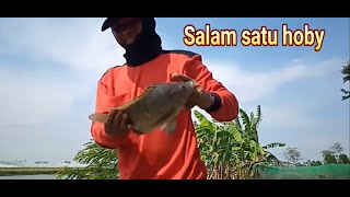 Eduan mancing Strike Iakn Sak Genteng Genteng