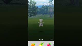 Togetic salvaje variocolor