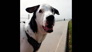 Relaxing at the Lawrence St. T - head, Corpus Christi Texas