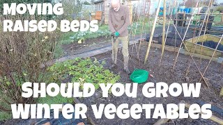 Should you grow Winter vegetables | Allotments For Fun and Food