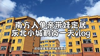 低房价鹤岗真实生活体验，今日vlog逛逛鹤岗郊区的超市买点水果蔬菜。