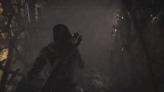 Rise of the Tomb Raider || Gameplay || 8