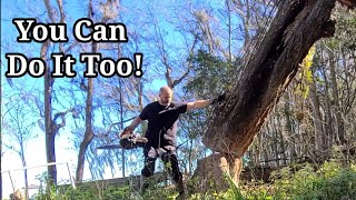 FLORIDA HOMESTEADING!~Falling Trees! #diy #family #homestead #house #fun #garden #vlog