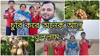 || আলু ক্ষেত ll alu ki kheti @mukherjee555  #vlog #dailyvlog #potato