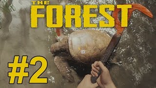 BEHEADING TURTLES - Episode 2 - The Forest