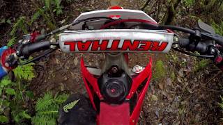 Greendale Trail Ride | Deep Woods | CRF250R