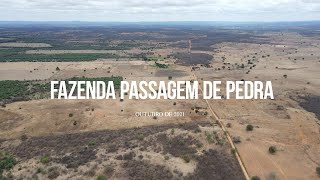 Fazenda Passagem de Pedra - outubro de 2021