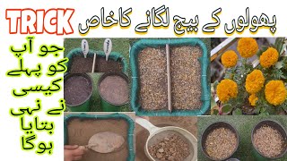 How to Grow Flower Seeds| My Seedling Tricks and Tips|With 100% success result