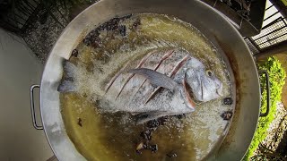 Pesca Submarina en Escollera / Capturas para la FRITA EXPRESS /Catch & Cook