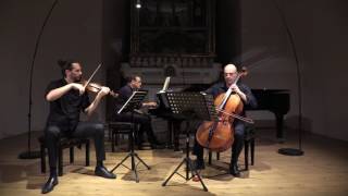 MUSIKANTEN PIANO TRIO plays J. Brahms: Trio n.1 Op.8