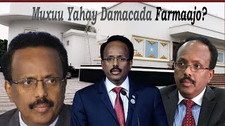 Damaca Farmaajo: Muxuu ugu dhegay Villa-Somalia?