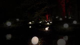 The Mysterious night gardens of Kasteeltuinen in Arcen. It worth being seen. My thanks to the team!