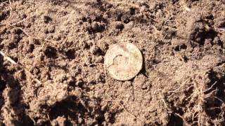 First WW2 relic hunt of 2013, 'The penny patch"