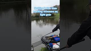 Skimmers short #matchfishing #fishingvideos #fishing