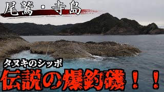 【三重県・尾鷲・寺島】尾長グレ、口太グレの爆釣伝説を作り上げた寺島・タヌキのシッポ！！