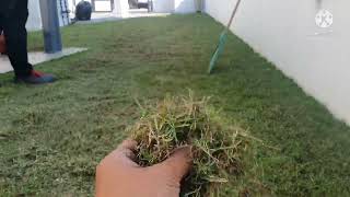 Dethatching using Gardena Lawn Aerator EVC 1000w