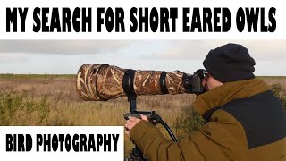 THE SEARCH FOR SHORT EARED OWLS-BIRD PHOTOGRAPHY #wildlife photography #bird photography  #nikon