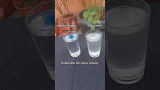 Simple science experiment with salt water. AtoZ view #experiment #shorts