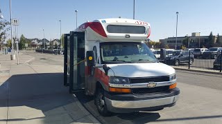 Calgary Transit 2018 Chevrolet Arboc SOF27 #1276 on Route 94 Signal Hill