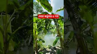 দোয়া কবুলের ৫ শর্ত #মিজানুর_রহমান_আজহারী_নতুন_ওয়াজ #mizanurrahmanazharinewwaz #দোয়া #ওয়াজ_মাহফিল