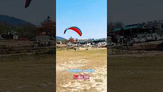 OMG Paragliding Landing 🪂 #viral #shorts #paragliding