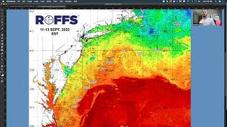 Northeastern U.S. Ocean Conditions Update - 9/13/2022