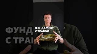 Фундамент под загородный дом с травой? #архитектор #фундамент #дом #стройка