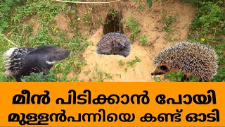 RIVER FISH FRY | CATCHING & Cleaning & Cooking Skill | Puzhameen Recipe | Village Food@FishingBDD