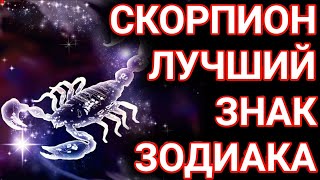 Почему Скорпион лучший знак зодиака ?