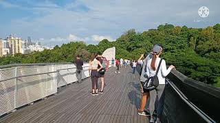 Henderson waves tallest bridge in Singapore |  telok blangah hill park