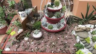 Table Top Succulent Landscaping