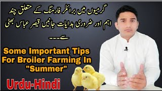 Some Important Points For Broiler Farming In Summer | PPS Poultry | Qaisar Abbas Bhatti