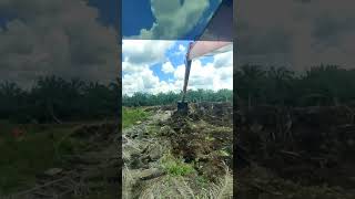 Excavator Long Arm Steking Lahan Tanah Gambut