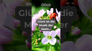 Glück ist die Musik der Seele... #shortsyoutube #gedanken #glücklichsein