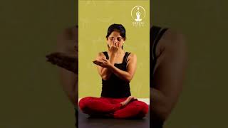 How to do Anulom Vilom Pranayama?