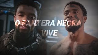 O PANTERA NEGRA VIVE