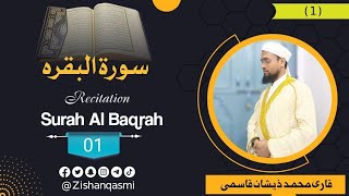 Surah Al Baqrah | Aakhri Ruku | Zishan Qasmi | تلاوت قرآن کریم| سورہ بقرہ آخری رکوع |Tilawat e Quran