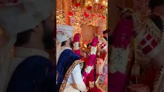 Arunendra sharma wedding ceremony | #shorts #wedding #arunendrasharma #jaymal #ceremony #shayarwedd