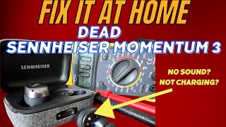 Fix your dead Sennheiser Momentum 3 with simple setup