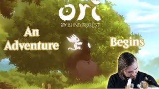 Episode One: An Adventure Begins |Ori and the Blind Forest|