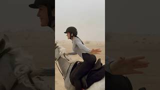 Dubai desert horse riding #horserid #horseriding #horseride #horselover #horse