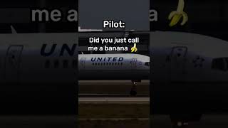 "Did you just call me a banana"🍌| ATC Recording between Pilot and Controller