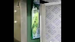 Corn Maize Packaging Machine