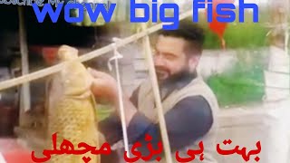 Wow big fish