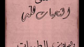 اعرف معنى التحيات لله ، في دقيقة ونصف، لا بد من معرفتها لاننا نقولها يوميا في صلواتنا