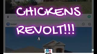 Stop Raising Chickens In Your Backyard.....WHAT?? - Rasta Garden  Urban Farming [Chicken Poém]