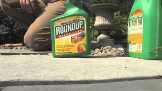 How to Dispose of Roundup Weed Killer | Videos | Roundup Weedkiller